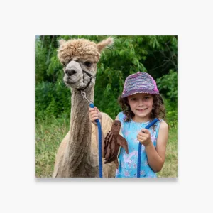 Barnegat Bay Day Sponsorship