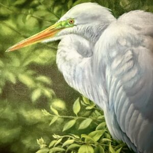 The Breeding Grounds (Egret)