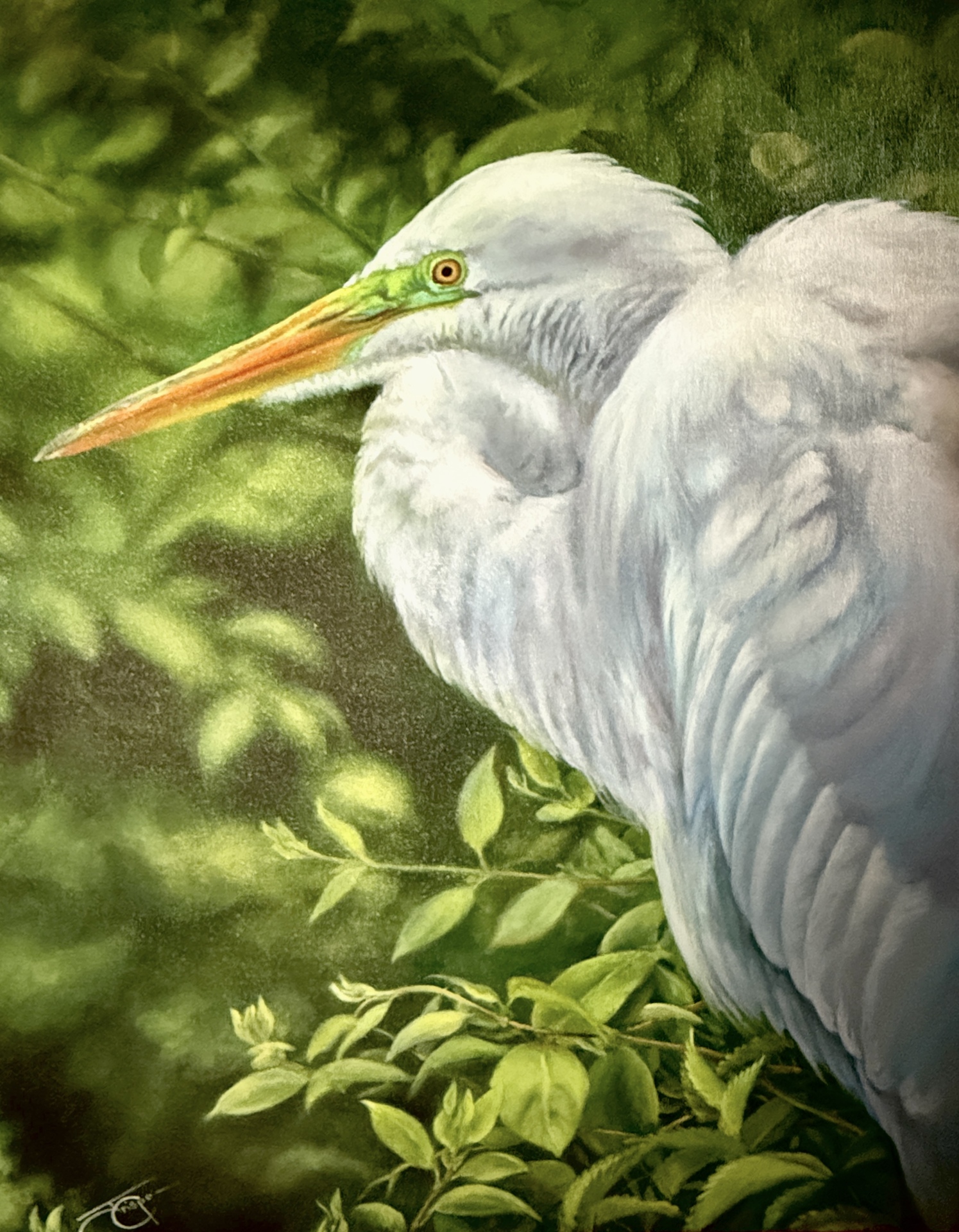 The Breeding Grounds (Egret)
