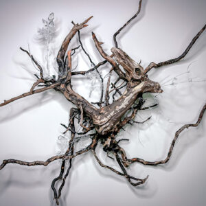 NJ Endemics