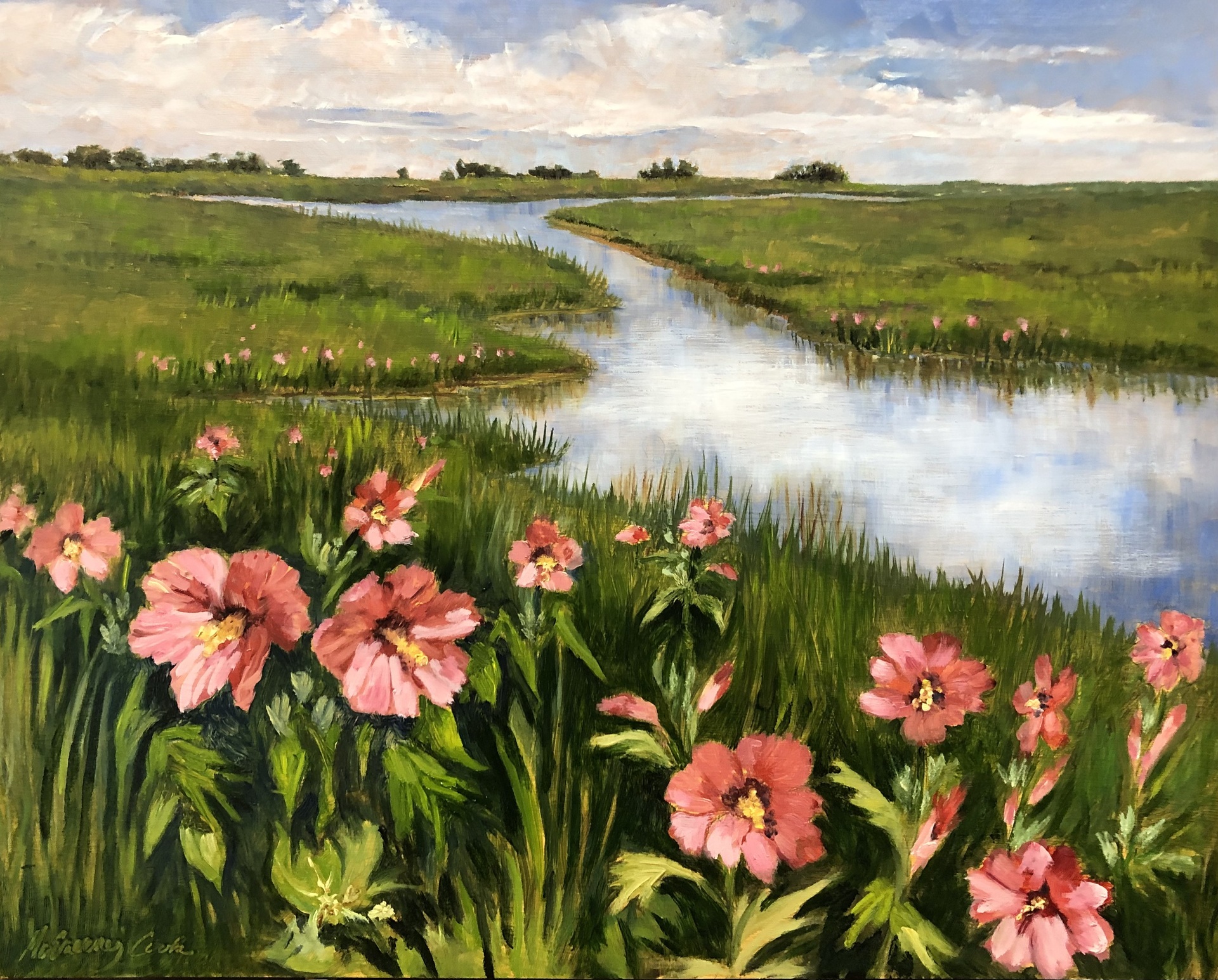 Coastal Marsh Hibiscus