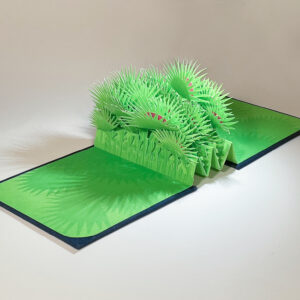 Venus Fly Trap